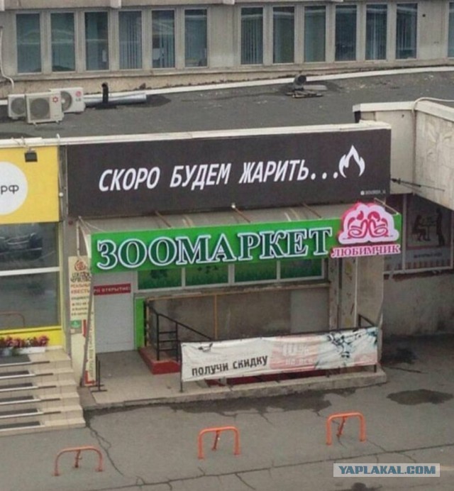 Картинки для деградации 60 (разной степени свежести)