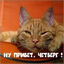 Четверговые картинки.