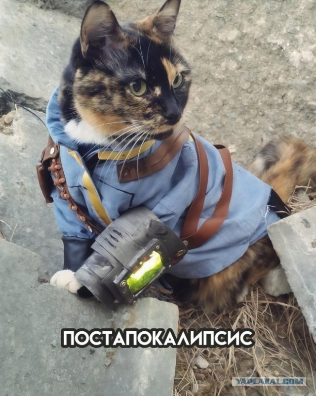 Несколько жанров кино