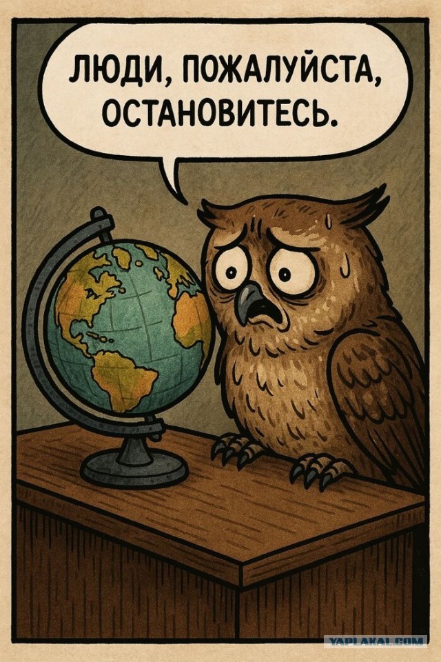 Решил я прибарахлиться.