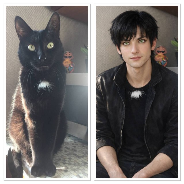 Кот Эммы Стоун?