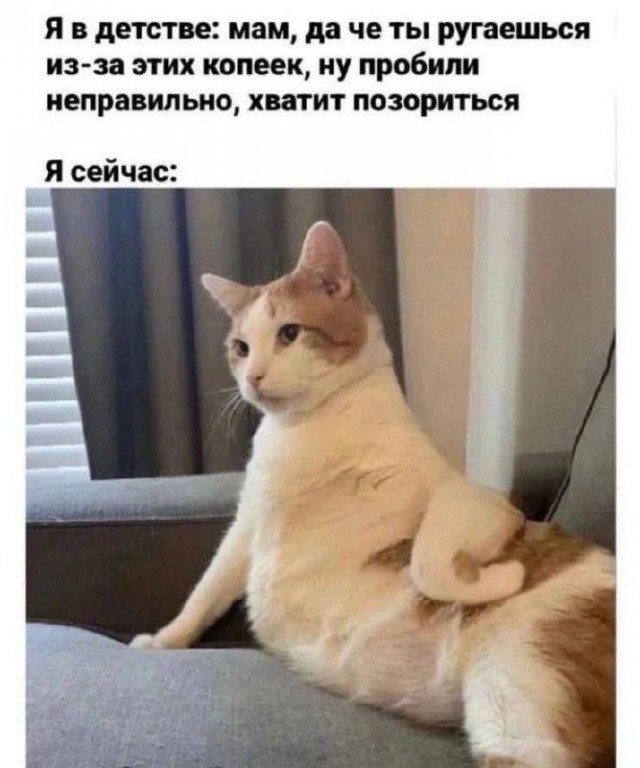 Картинки для деградации 152 (разной степени свежести)