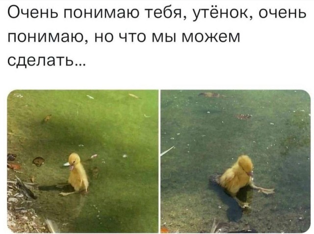 Так себе картинки 26.03.26