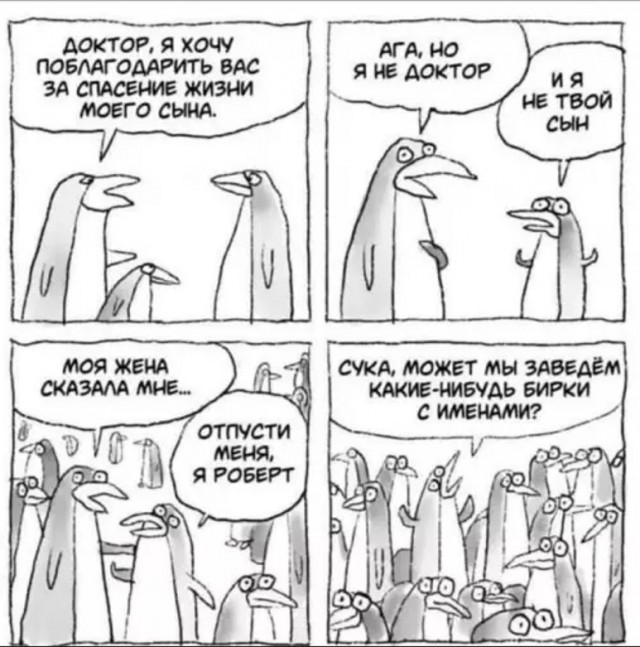 Картиночки, баянчики 22 апреля