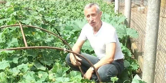 А вас подпитывает Земля?