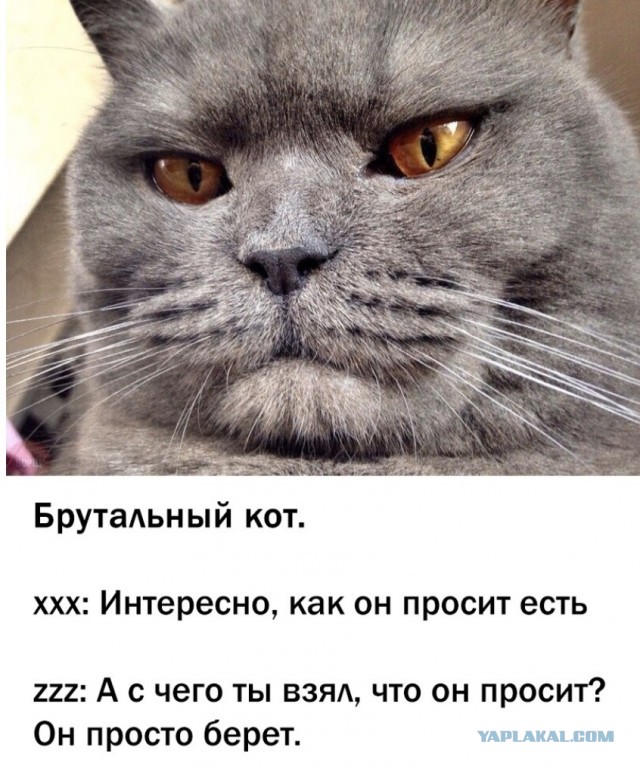 Около сотни москвичей чуть не заморили  голодом
