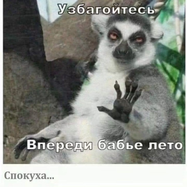 Картинки для деградации 270 (разной степени свежести)
