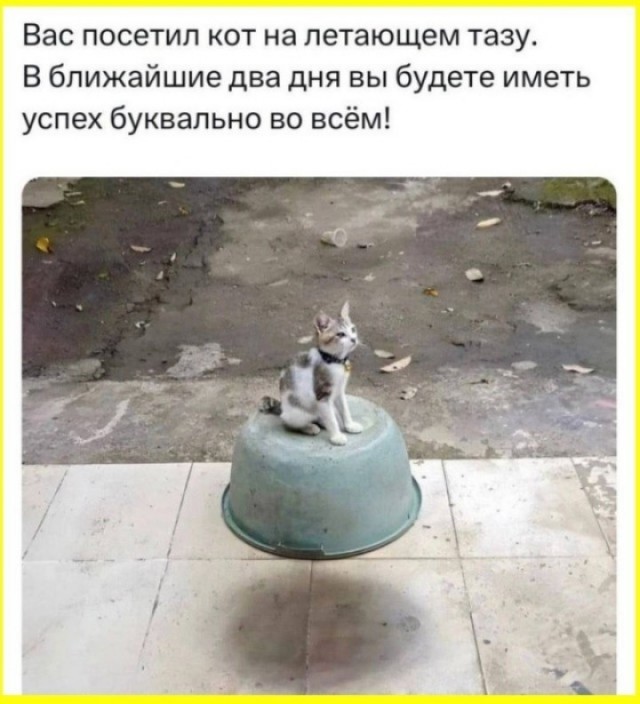 Скиньте рандомную хрень