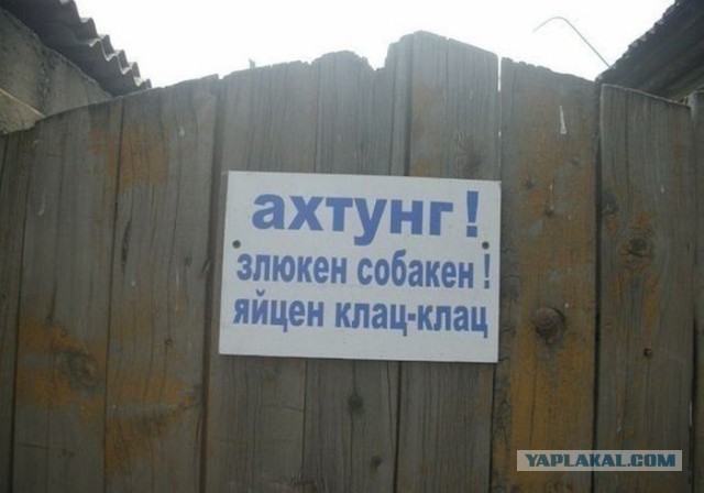 Не хотелось тебе этого говорить, но ты собака