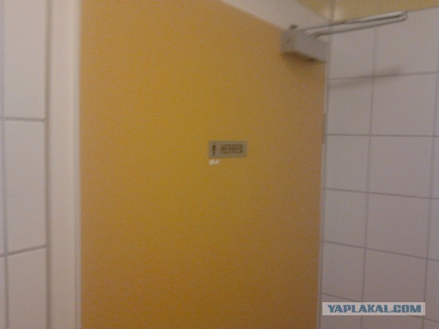 Где яблоки растут!