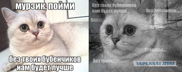 Майданутые смехуечки!