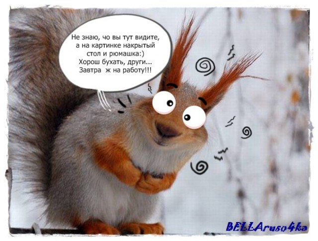 Рулиный курет