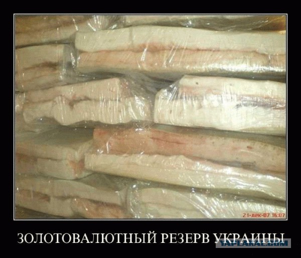 Олег Ляшка зажал деньги для бойцов ПС