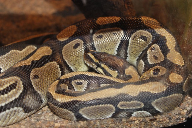 Отчёт о поездке в Крым 12.07 - 29.07