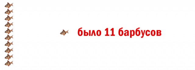 А у вас есть аквариум?
