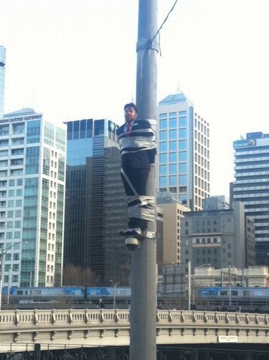 Может у него там гнездо?