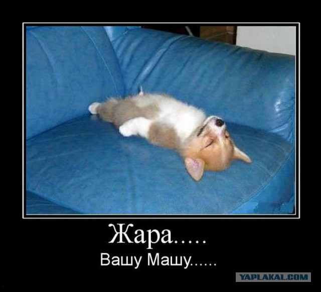 Подборка смешных картинок :)