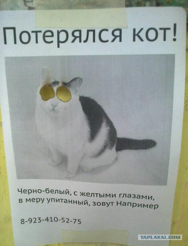 Шикарные объявления августа месяца