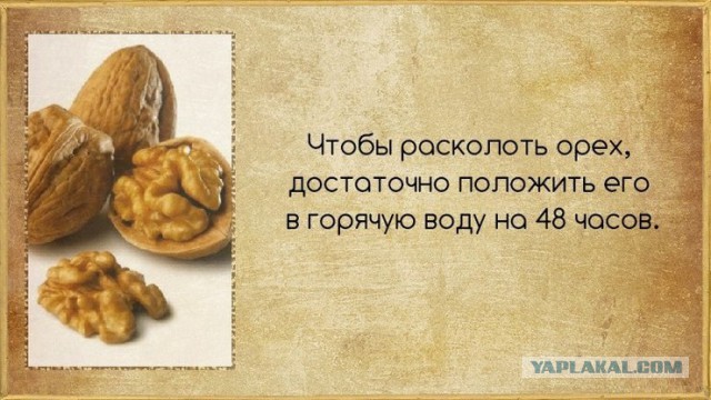 Факты в картинках