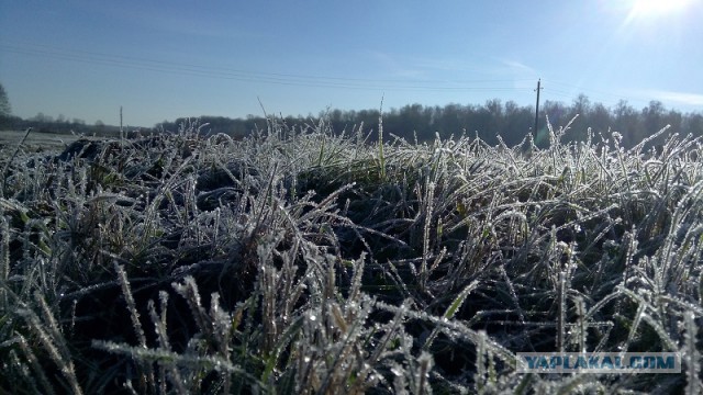 20 самых удачных кадров октября. Без фотошопа.