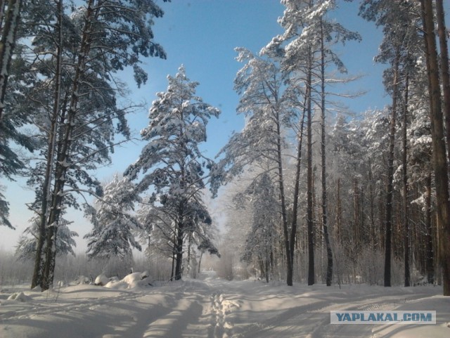 Без фотошопа