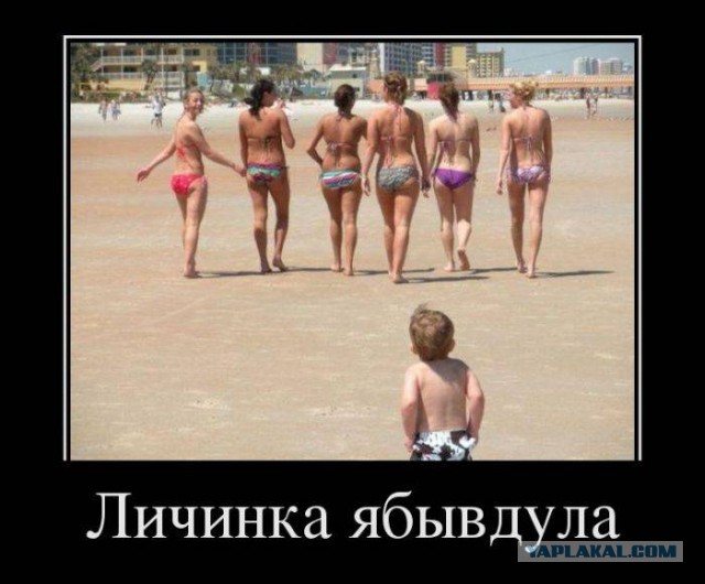 Веселости которые встретились сегодня