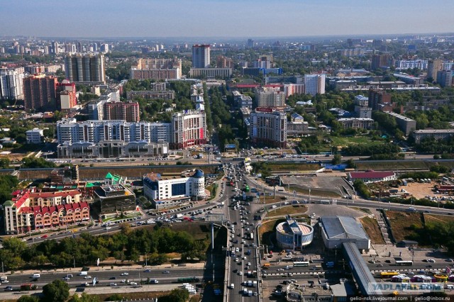 Когда деревья были большими