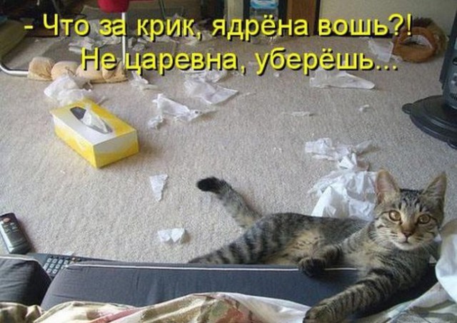 Забавные картинки из Сети