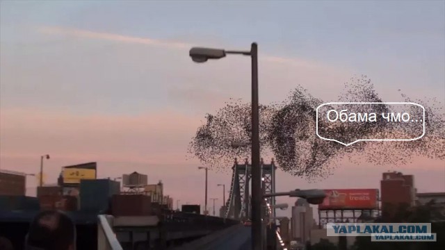 Чье лицо?