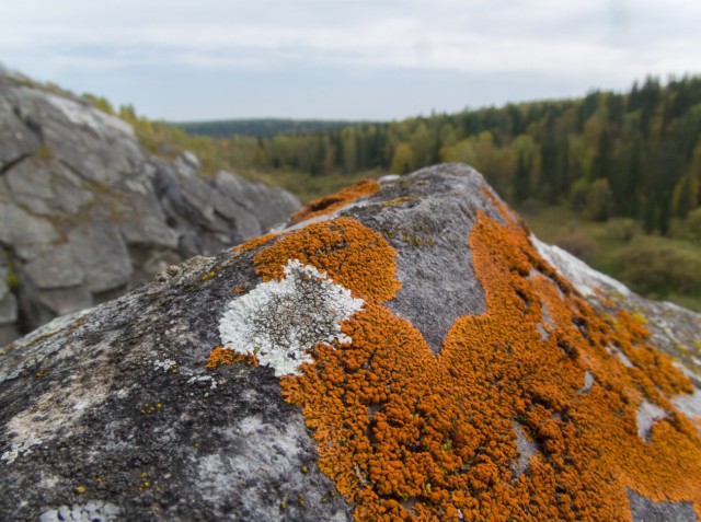 Деревенская Америка