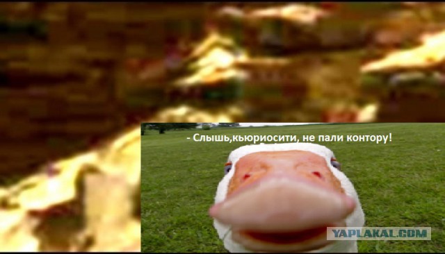 На Марсе нашли рептилоида и сбитый дрон