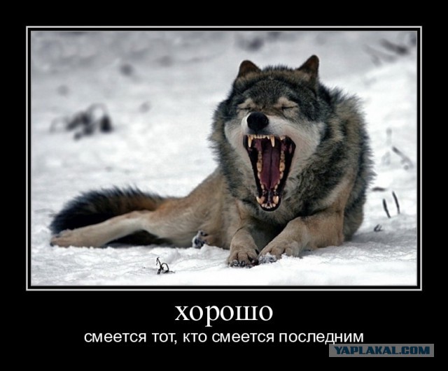 Что от нас скрывают?