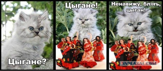 Цыган в Туле