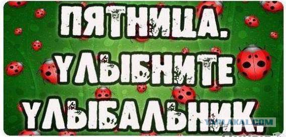 Анеки-баянеки на 29.04.2016 года.