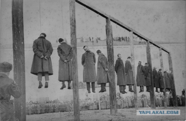 ВКонтактике ухи поели