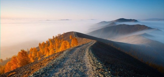 Моменты, запечатлённые на фото и просто позитив 5