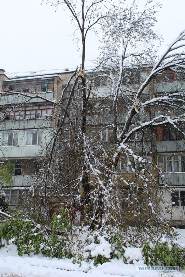В Кишиневе объявлено о чрезвычайной ситуации: на очереди - режим ЧС по всей стране