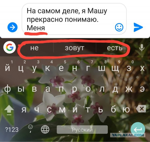 Подборка интересных и веселых картинок