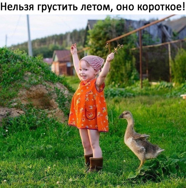 Подборка разного из сети