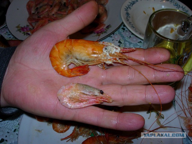 Про жуликов ...