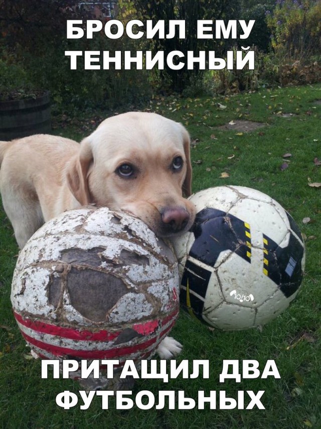 Нестандартный юмор