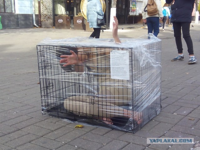 В Москве у здания ФСБ обнаженная девушка забралась в клетку с надписью «Груз 300»