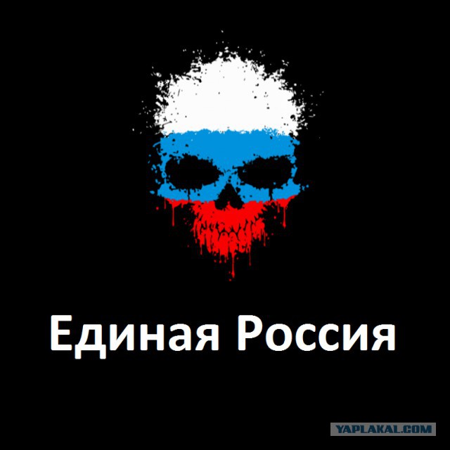 Один честный сенатор на всю страну?