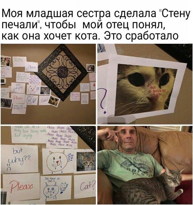 Сотка