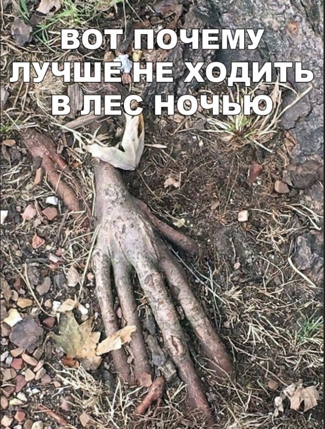 Нестандартный юмор