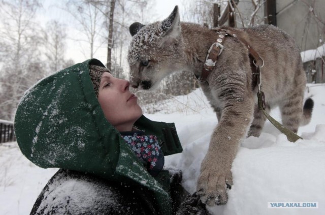 Льдинка в снежинках!