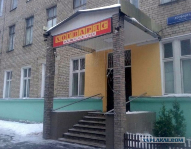 Чуток картинок 07.06.19