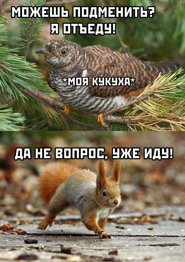 Фотоподброка на воскресенье 03.11.2019