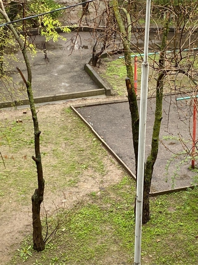Утренняя Пермь 27.04.2020