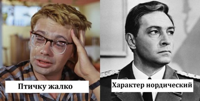 Птица сбила летящую к танку американскую ракету TOW
